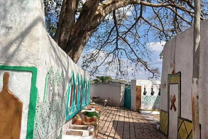 2 Days Harar Tours - Exploring Harar in Two Days: A Practical Review of the City’s Charm and Unique Experiences
