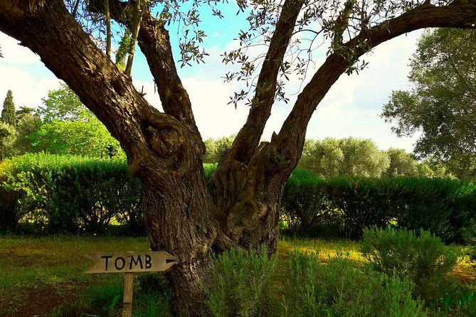 2-days-herodotus-tour-marathon-thermopylae-delphi-thebes-plataea-salamis