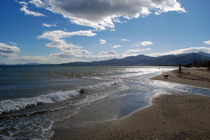 2-days-herodotus-tour-marathon-thermopylae-delphi-thebes-plataea-salamis