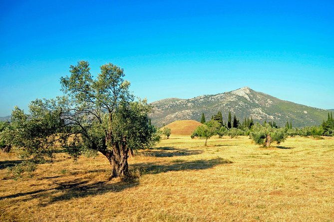 2-days-herodotus-tour-marathon-thermopylae-delphi-thebes-plataea-salamis