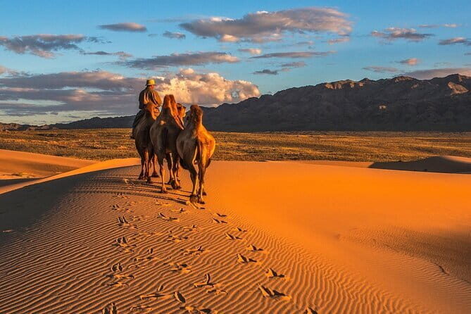 2 Days Hustai National Park and Nomadic homestay tour - Transportation and Logistics