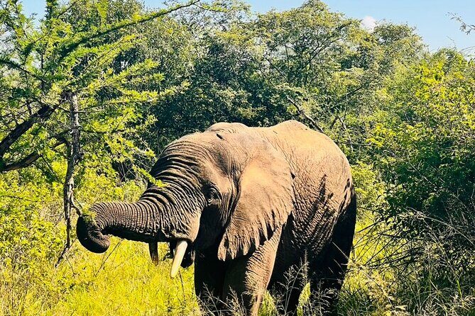 2 Days in Akagera National Park - Who Is This Tour Best For?