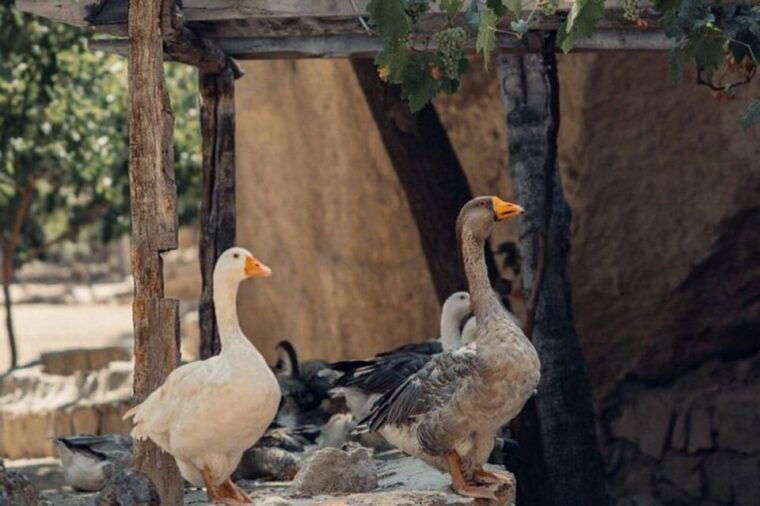 2-days-in-cappadocia-guided-red-and-south-tour