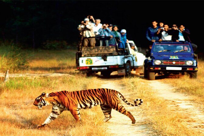 2 - Days: Jim Corbett jungle safari tour from Chennai by Flight - FAQ