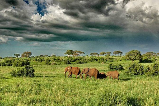 2 Days Joined Group Tarangire and Ngorongoro Crater National Park - Key Points