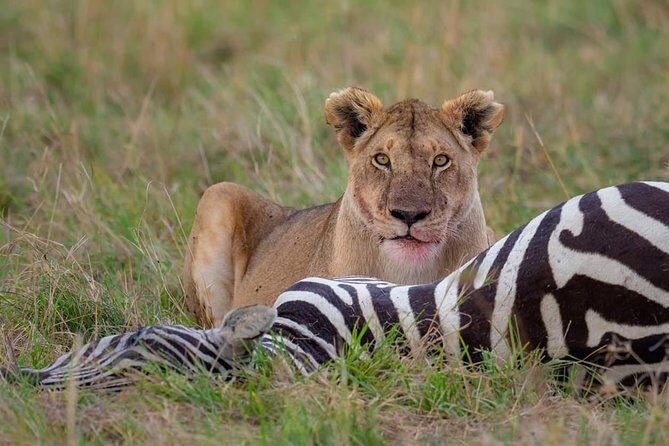 2 Days Joined Group Tarangire and Ngorongoro Crater National Park - Who Would Love This Tour?