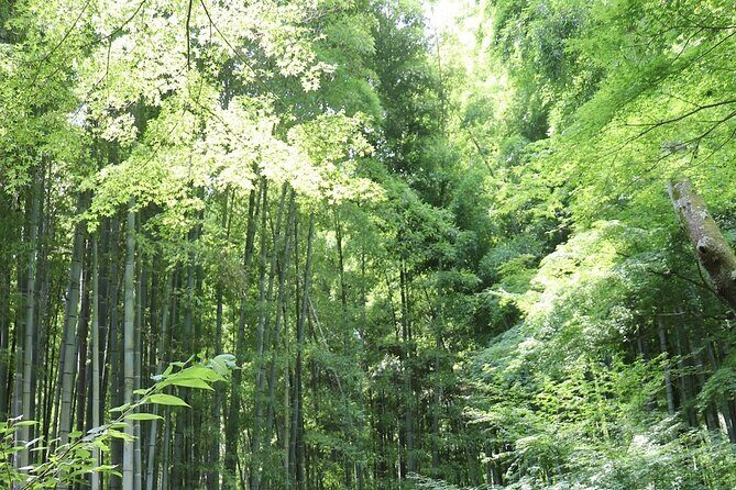 2 Days Kamakura & Tokyo Private Car Tour English Speaking Driver - FAQ