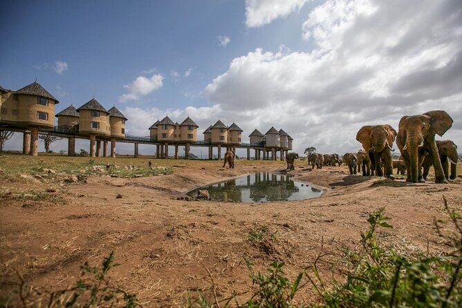 2 Days Kenya Safari special Tsavo East and Taita hills Saltlick from Mombasa - Key Points