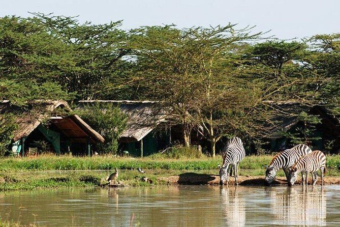 2 Days Lake Elementaita National park Safari - Day 1: From Naivasha to Lake Elementaita and Soysambu Conservancy