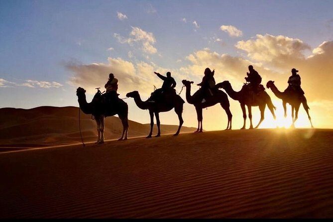 2 Days luxury desert tour from Fes - Day 2: From the Desert to the Mountains