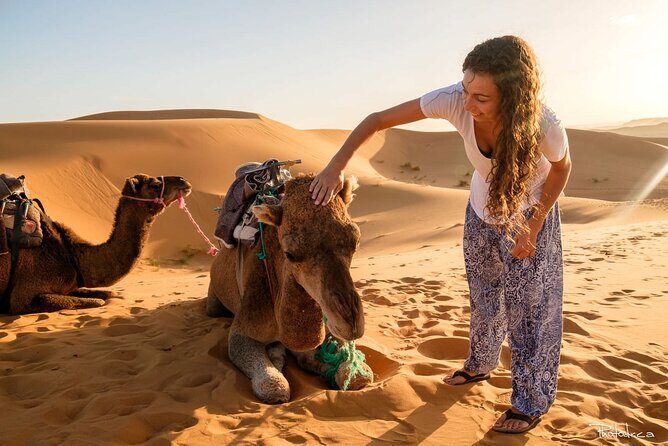 2 days luxury desert trip [fes to fes or marakech] - The Itinerary: What to Expect Each Step of the Way