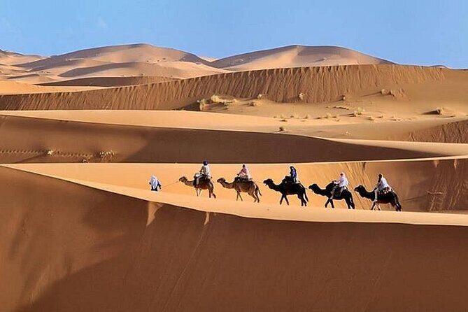 2 Days Luxury Tour to Merzouga Desert from Fez with Small Group - Key Points