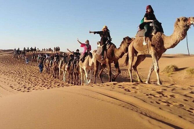 2 Days Luxury Tour to Merzouga Desert from Fez with Small Group - Erfoud: Gateway to the Sahara