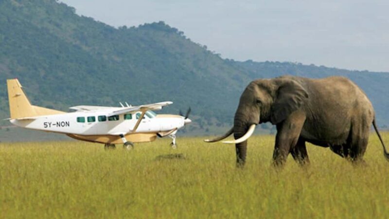 2 Days Maasai Mara Flying Safari Package - Key Points