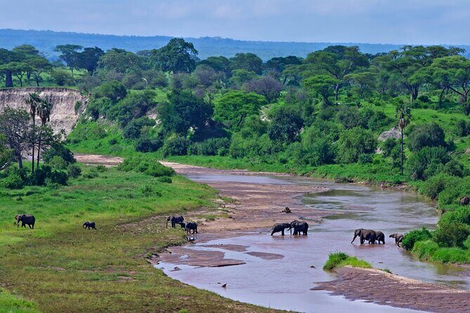 2 days Majestic Tanzania safari Tarangire and Ngorongoro Crater - Overview of the Safari Experience