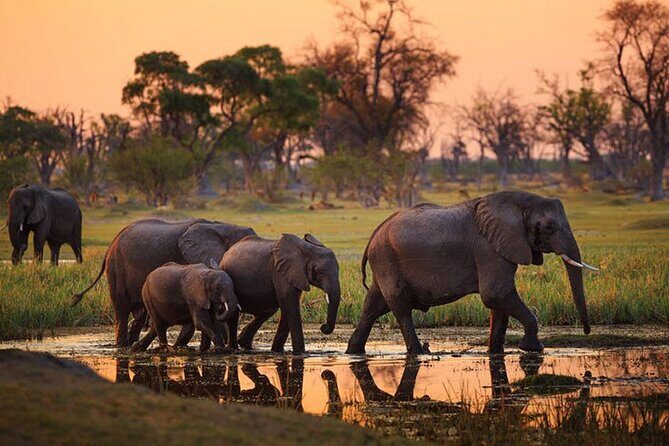 2 days Majestic Tanzania safari Tarangire and Ngorongoro Crater - What’s Included & What’s Not?