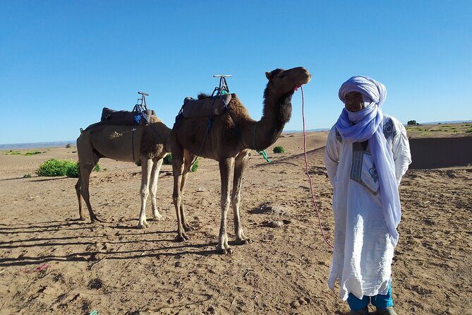 2 Days Marrakech to Zagora desert trip - Final Thoughts: Is This Tour Right for You?