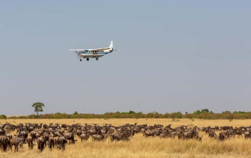 2 Days Masai Mara Flying Safari Package - The Itinerary in Detail