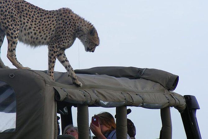 2 Days Masai Mara Private Safari From Nairobi - FAQs