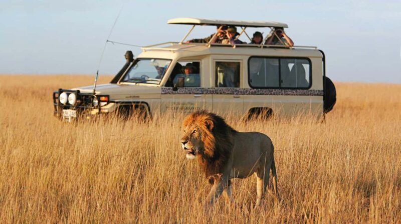 2 Days mikumi safari adventure from dar es salaam - Key Points