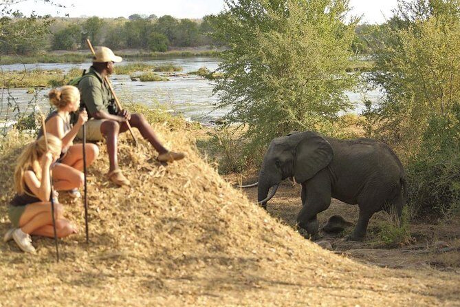 2 Days Morogoro- Selous Game Reserve(Nyerere national park) - Getting to Know the Tour: What to Expect Day-by-Day