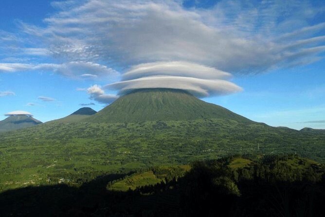 2 Days Mountain Gorilla Safari Rwanda - The Experience of Gorilla Trekking