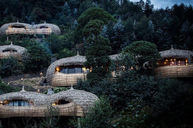 2 Days Mountain Gorilla Safari Rwanda - Practical Details and Tips