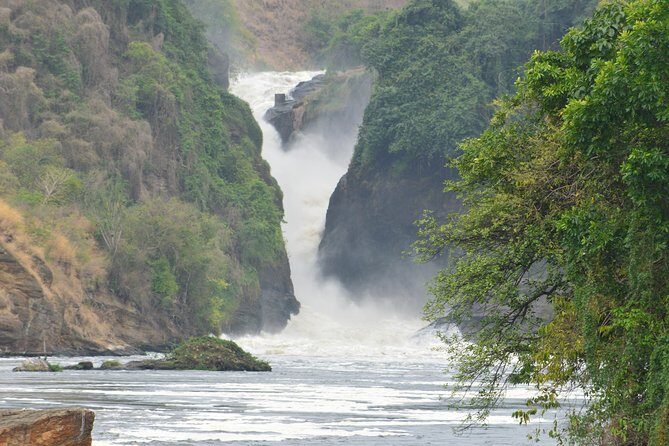 2 days Murchison Falls and Wildlife Game Viewing - The Second Day: Wildlife Encounters and Return