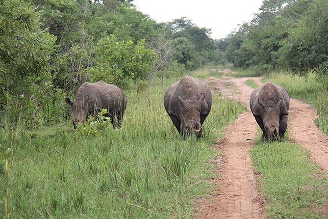 2 days Murchison Falls and Wildlife Game Viewing - FAQs