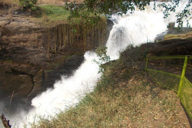 2 Days Murchison Falls Big 5 Savannah wildlife safari - An In-Depth Look at the 2-Day Safari Experience
