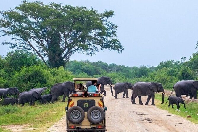 2 Days Murchison Falls Park Vacation - Breaking Down the Itinerary: What to Expect