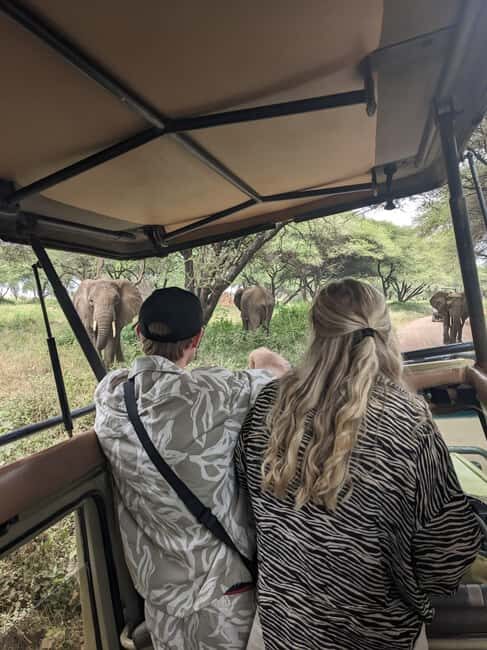 2-Days, Ngorongoro crater and Tarangire Safari. - A Detailed Look at the 2-Day Safari Experience