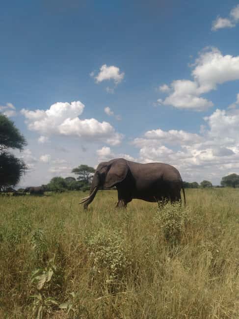 2-Days, Ngorongoro crater and Tarangire Safari. - Authentic Experiences and Hidden Gems