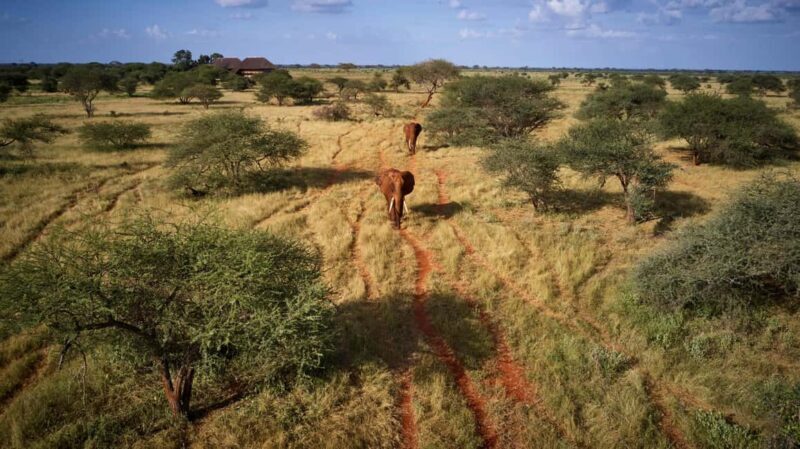 2 Days Ngutuni Sanctuary, Tsavo East Private Safari - Introduction to Ngutuni Sanctuary