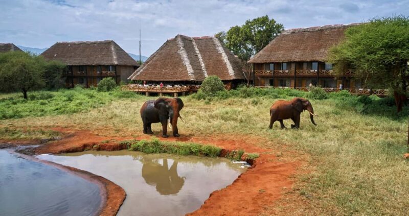 2 Days Ngutuni Sanctuary, Tsavo East Private Safari - Day 1: From Mombasa to Ngutuni Sanctuary