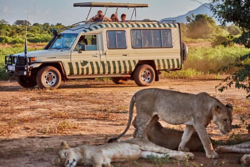 2 Days Ngutuni Sanctuary, Tsavo East Private Safari - Practical Considerations