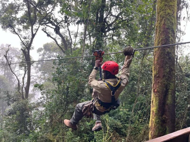 2 Days Nyungwe National Park Tours -Chimp-Canopy-Waterfall - Final Thoughts