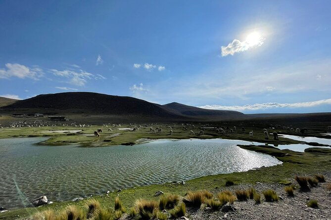 2-days-of-natural-experience-in-the-colca-canyon