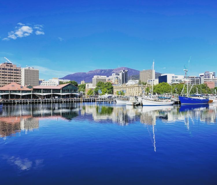2 Days of Tasmania's Best - Who Should Consider This Tour?