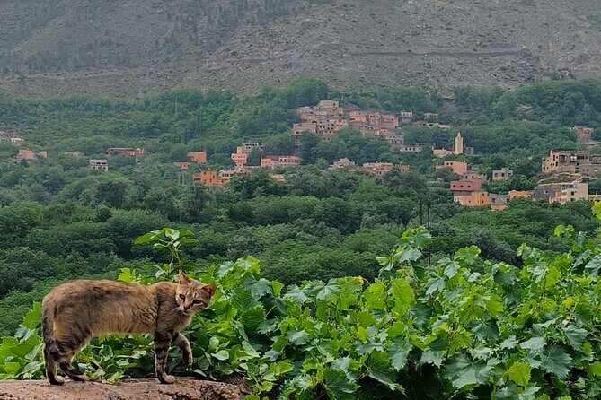 2 days on the Toubkal Express - Overview of the Toubkal Express Experience