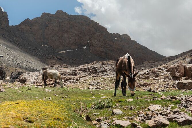 2 days on the Toubkal Express - Authenticity & Cultural Touches