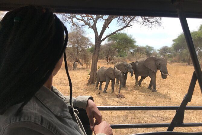 2 Days One Night Private Tour in Tarangire National Park - Transportation and Group Size
