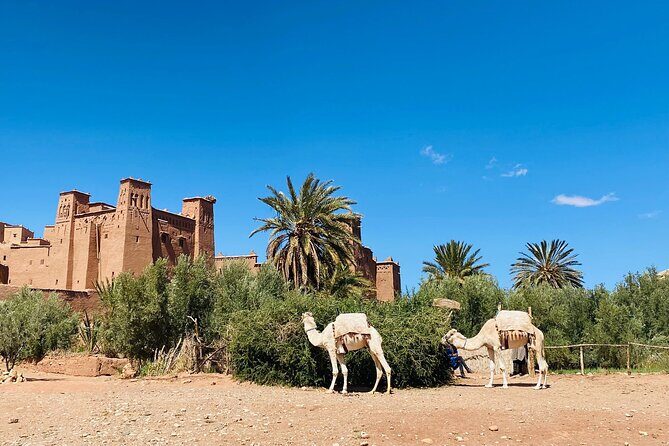 2-Days Ouarzazat & Ait ben Hadou Kasbah tour from Marrakech - Key Points