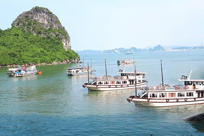 2 Days Overnight on Aura Cruise Cruise Ha Long - What’s Included and What’s Not