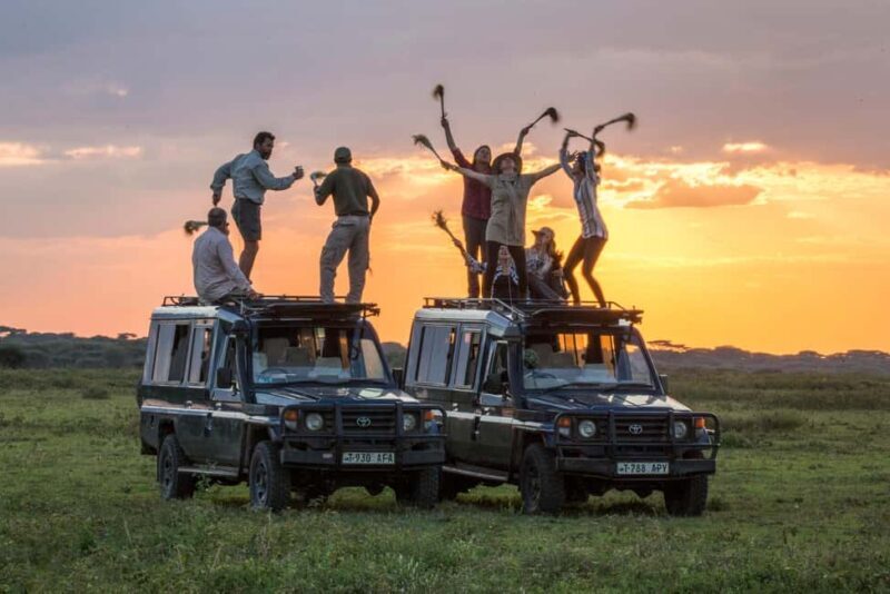 2-Days Private Budget Safari from and to Zanzibar - Who Should Consider This Safari?