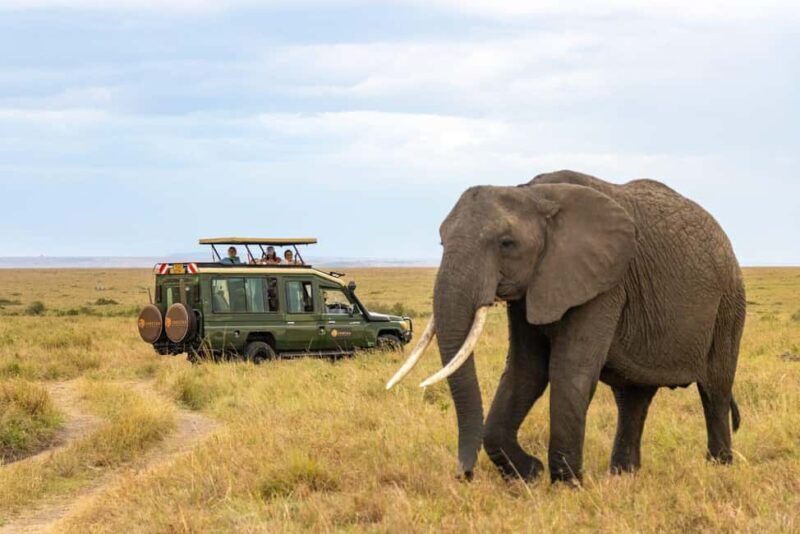 2 Days Private Budget Safari from Moshi - Key Points