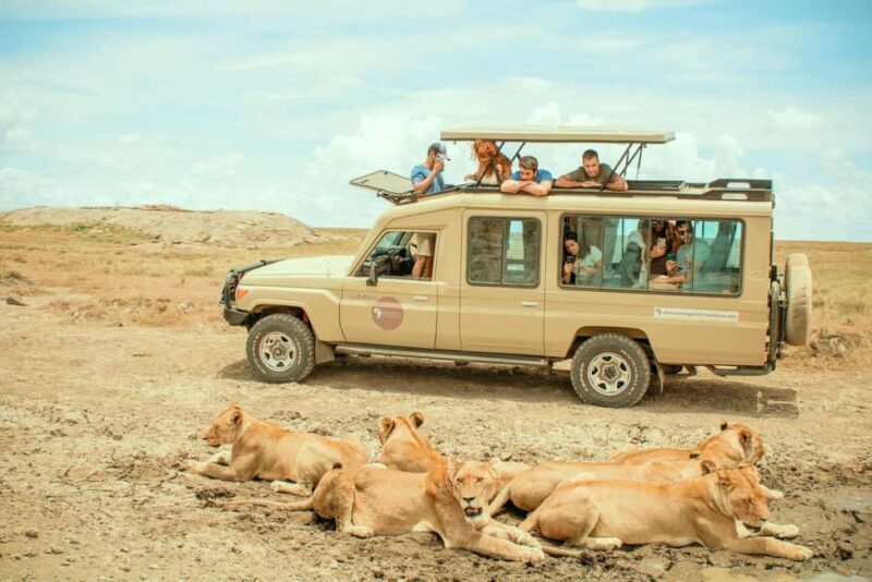 2 Days Private Budget Safari from Moshi - Introduction to the Tanzania Safari from Moshi