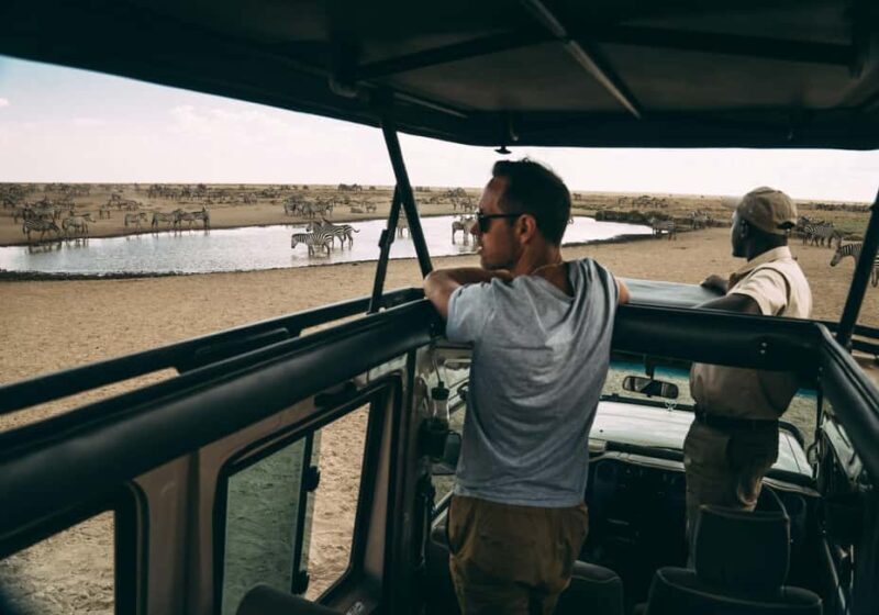 2 Days Private Budget Safari from Moshi - The Sum Up