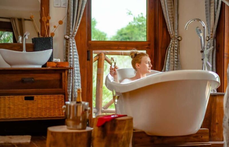 2-Days Private Luxury Safari from and back to Zanzibar - Exploring the 2-Day Private Luxury Safari from Zanzibar