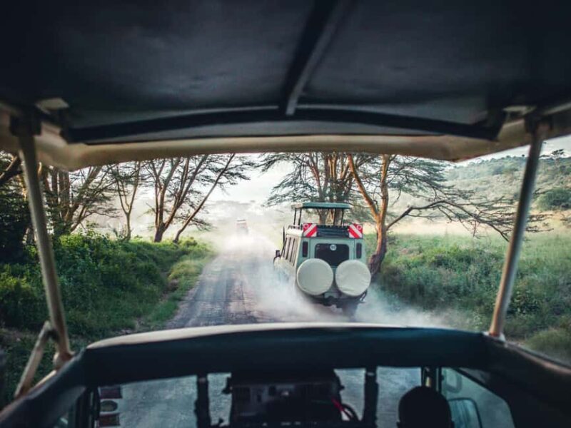 2-Days Private Luxury Safari from and back to Zanzibar - The Sum Up